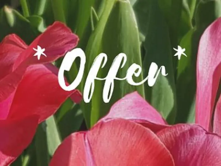 8769e1_efe422e3db7e431f827592fc9a45a8ed_mv2