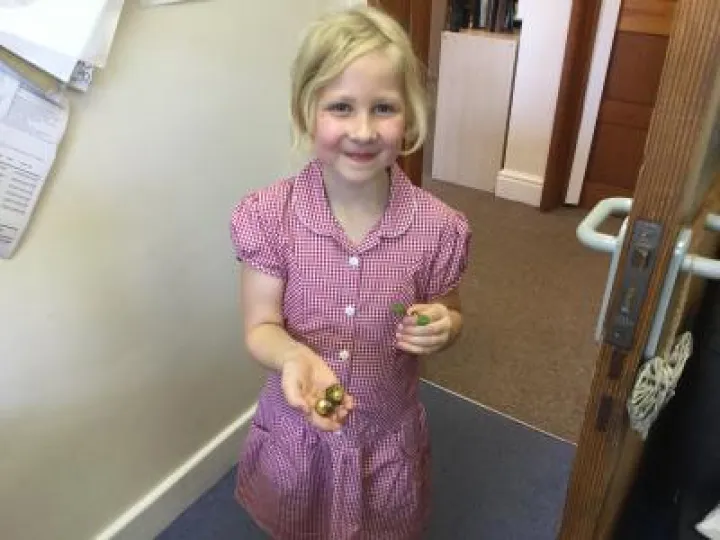 975ADEE1-F44E-4A75-A633-250AC437F97C