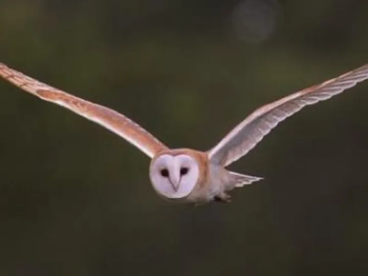 8886940863_672ee7f657_o_0 – Copy