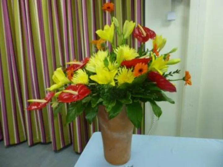 Flower Club Sept 2018 P1030582