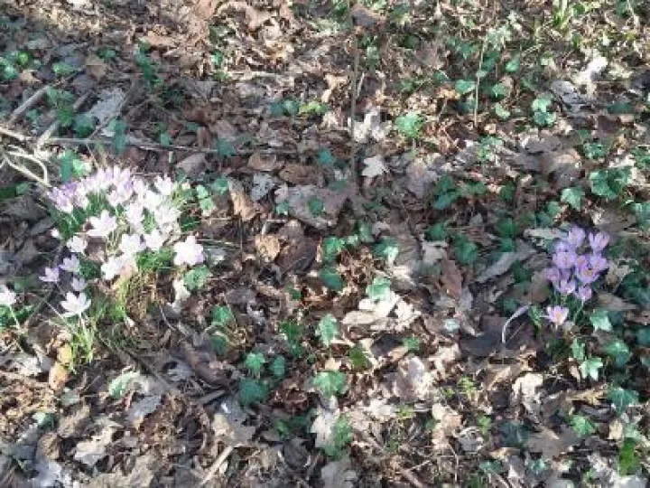 20190214_144548_resized