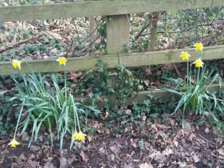 February 2019 thumbnail (1)