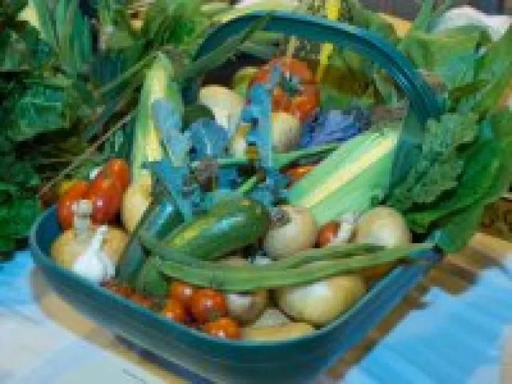 Haddenham's Annual Show 14