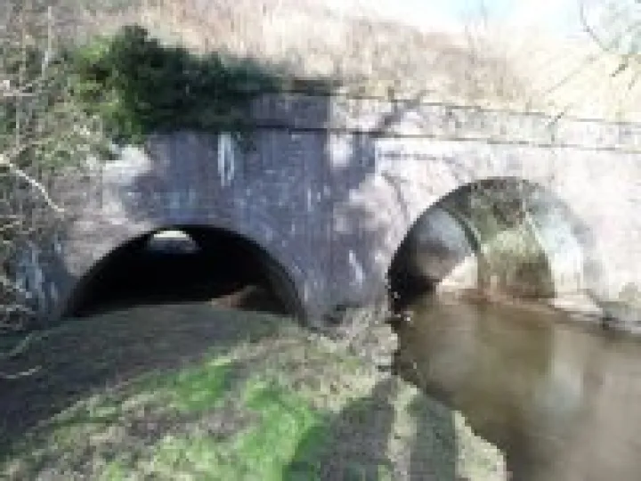 Canal walk January 2013 (11)