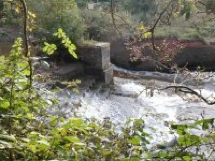 Weaver weir 2011 (3)