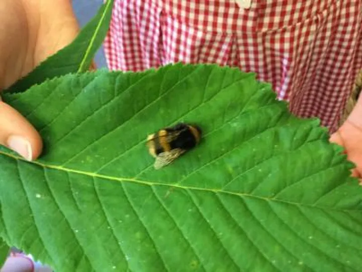 Image: 9D7FECC5-A07A-4853-8C1B-C91F72102DA4