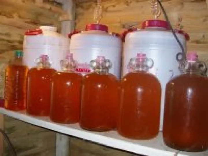Homemade cider 01