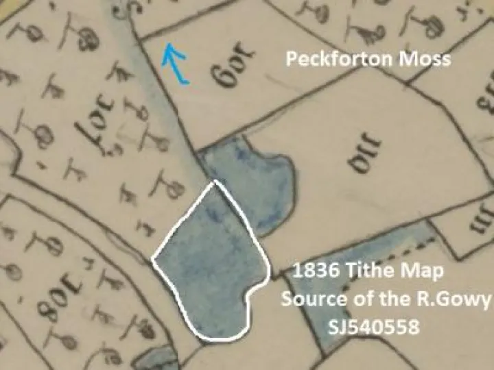 Gowy Source Of The Gowy (1)