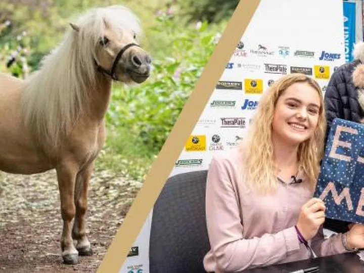 ESME_TEDDY-Social-Med_1200x550px_V3_FINAL