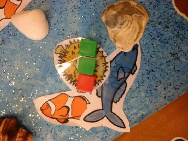 Image: 8210216d468f415c89ee8afbc37353b0-2019-11-13-09-54-30_photo