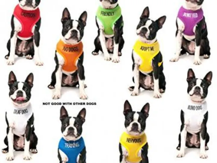 FRIENDLY-Green-Colour-Coded-Non-Pull-Dog-Harness-known-As-Friendly-PREVENTS-Accidents-By-Warning-Others-Of-Your-Dog-In-Advance-0-5