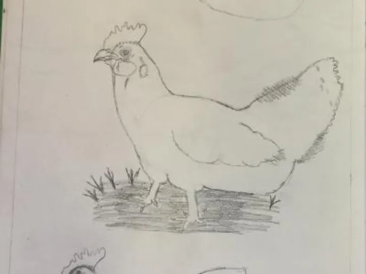 Image: 6AEA07BB-7DED-46F6-A8EF-4F0C224AE640