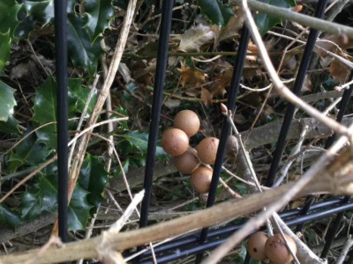 CE6D2912-97BC-4FC9-979D-701788DF95A3