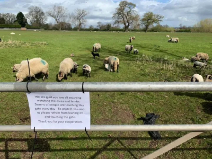 farm gates
