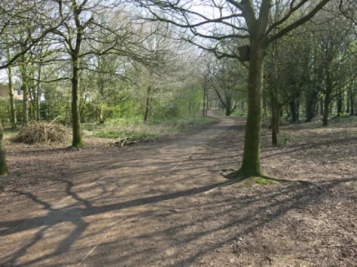 Keith Barker woodland April 2020 (6)