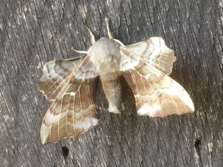 Image: 2698D1AE-43F3-4A26-9CD5-815966652852