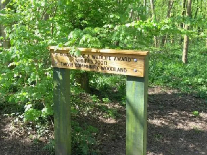 Woodland Walk (4)Img_7828