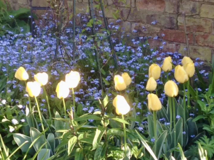 F6565233-9D2A-4508-96B2-DECF86B89040_1_201_a