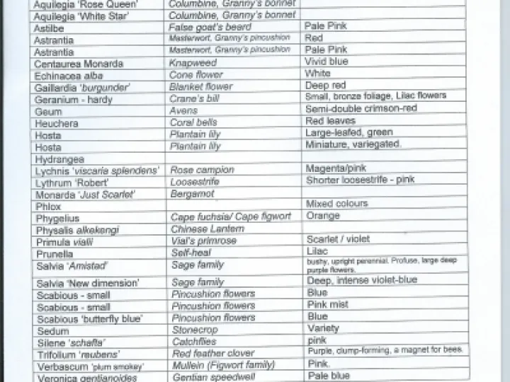 Woodland Plant Sale PhotoScan