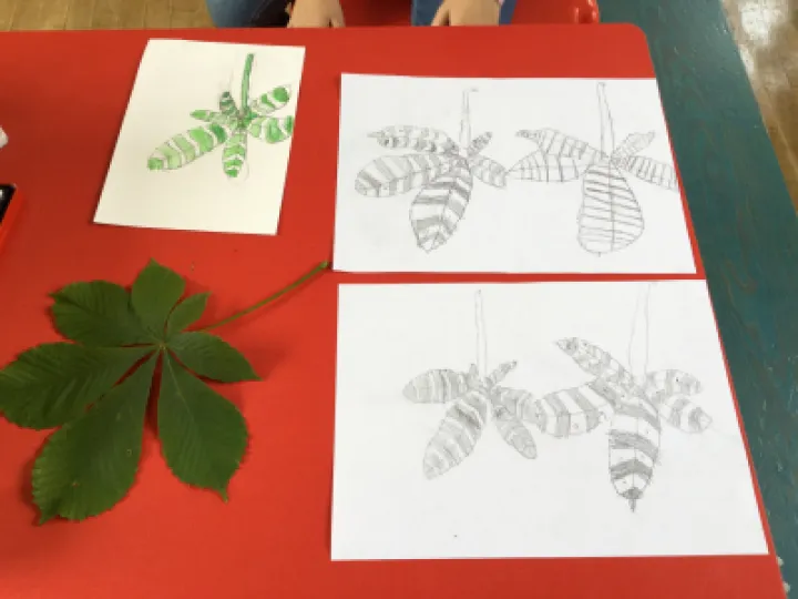 Image: 0EEC8405-0B2F-4A6B-BD3D-5CC9C642E11C