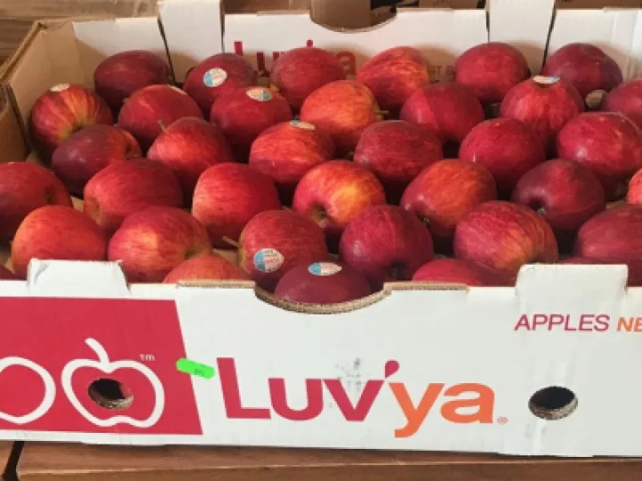apples