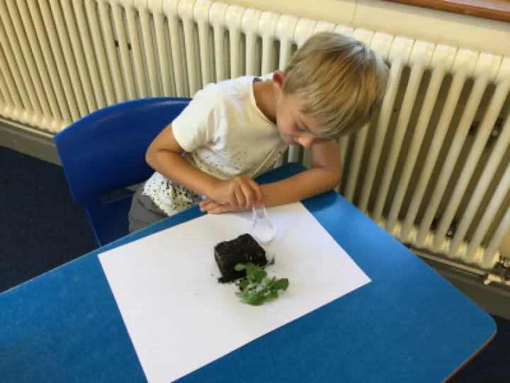 Image: 0536234A-78CA-4088-BA95-634DAF75AF0C