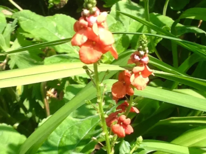 CD6CBF56-0FC3-4827-8206-8895DEF78EA7