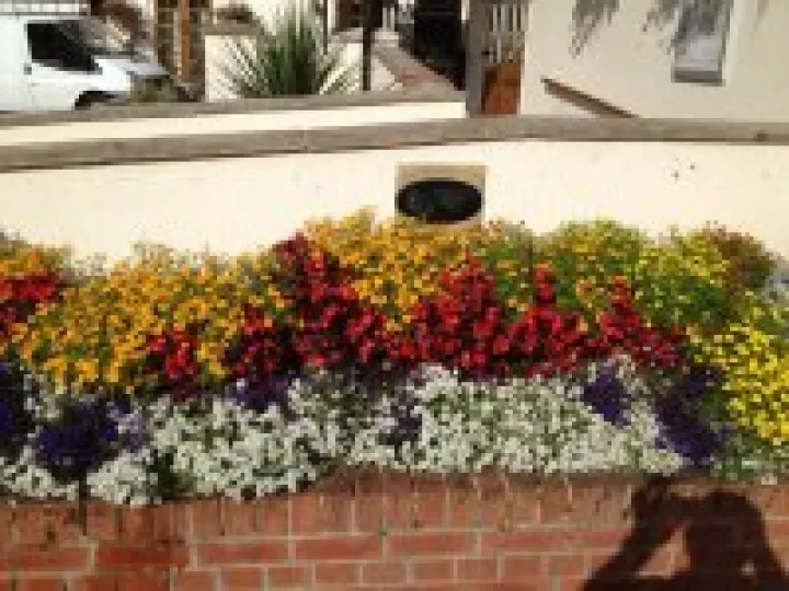 Audlem in Bloom planters