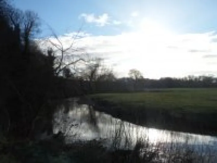 2013 Boxing Day walk