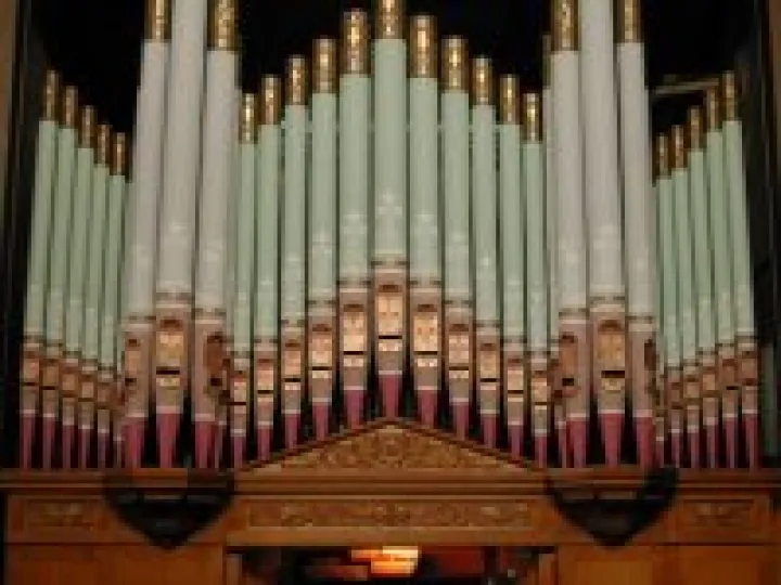 Organ pipes