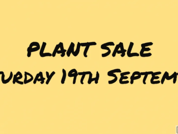 plantsale2