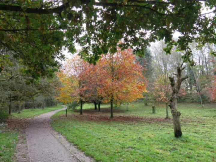 autumn 1
