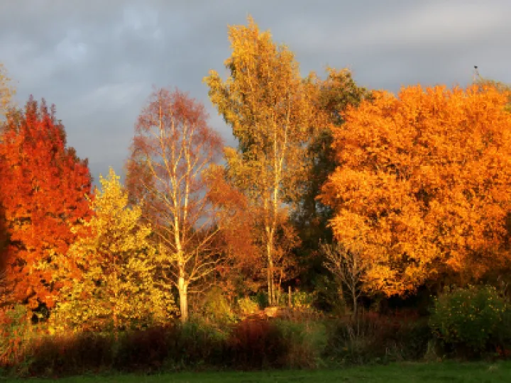 FBAA024A-2A20-45CA-8FF9-ABF49A9F9C13