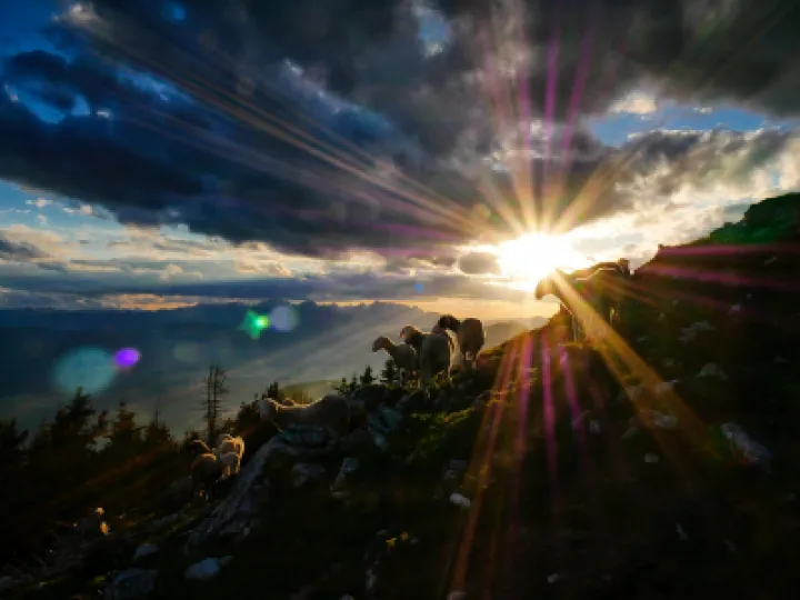 jaka-skrlep-kfv21yEf-6Y-unsplash