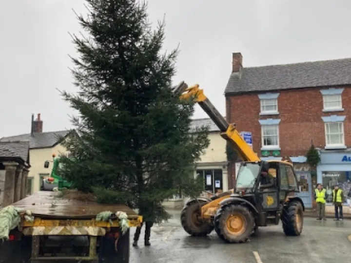 ADAS 1- Tree Arrives