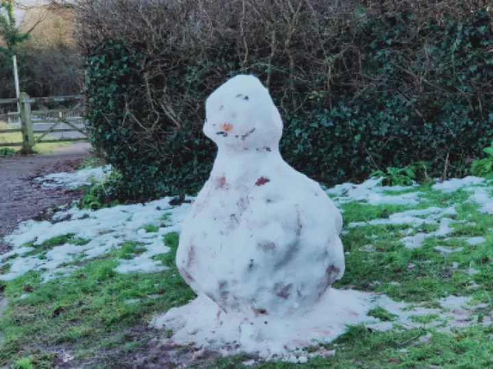 TOL  Snowman 21st Jan IMG20210121154034[290043]