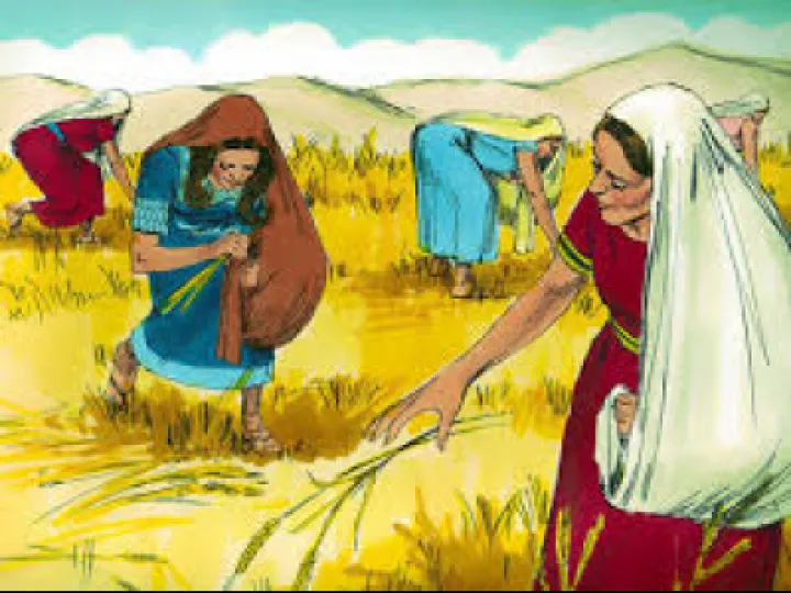 Book of Ruth