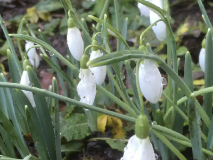 Image: 7D6774CF-F935-498C-A4B6-FDB442B7AB4B