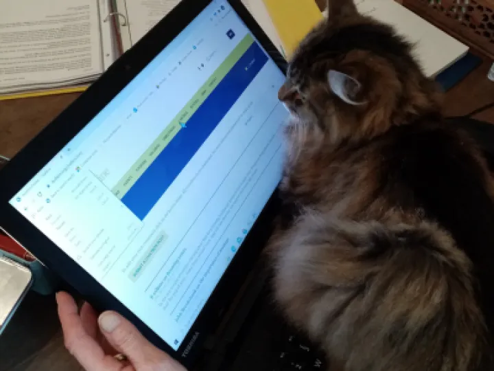 CAT box on AOL