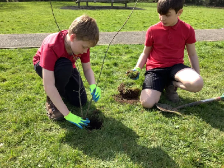 Image: 8FFFDE23-1D76-4C7A-867B-AEA6131000FF