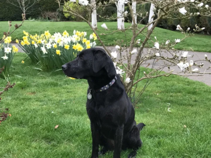 Image: 6F951338-66E5-4AD8-B2B0-CF60F0C9DB52