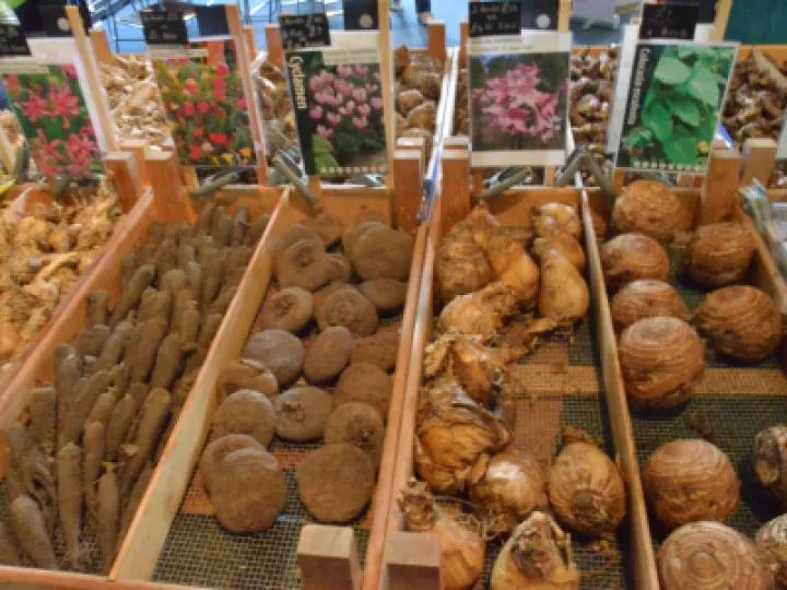 PlantSale2022 05 01 23