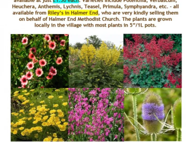 Rileys Flyer 26-04-21