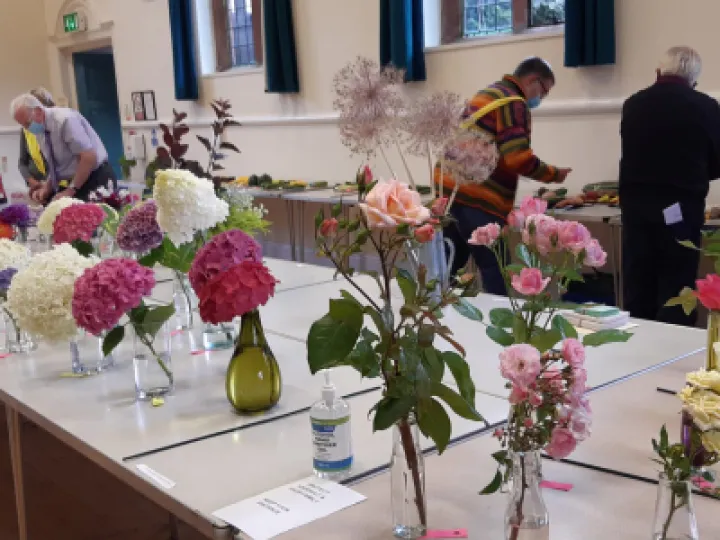 Image: 5CE8E908-DD84-48A6-82BC-092C418D3B8A