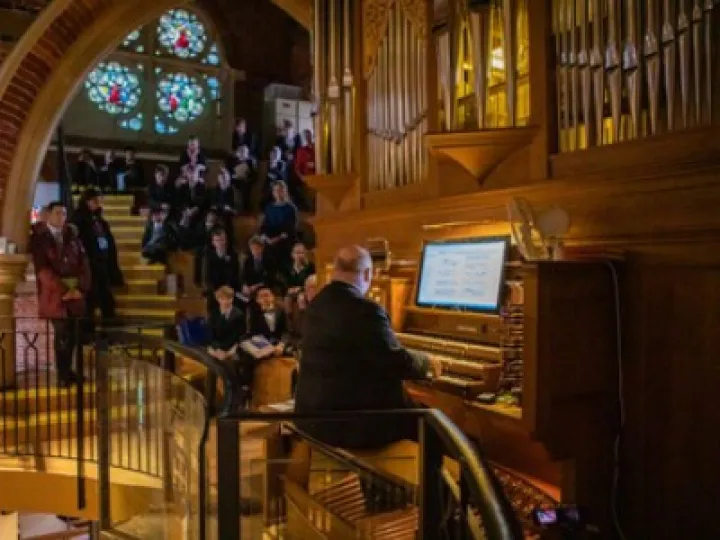 Organ
