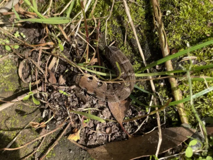 D7EB8D04-14D3-4E1F-9A1F-BA5B652693CA