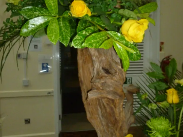 FC Outfits 3 Sept 2021P1040063