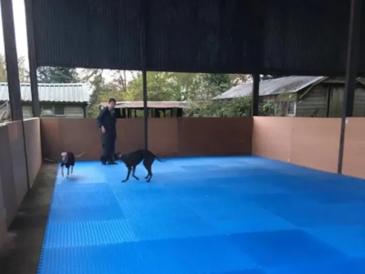 Dog Training Barn Nantwich