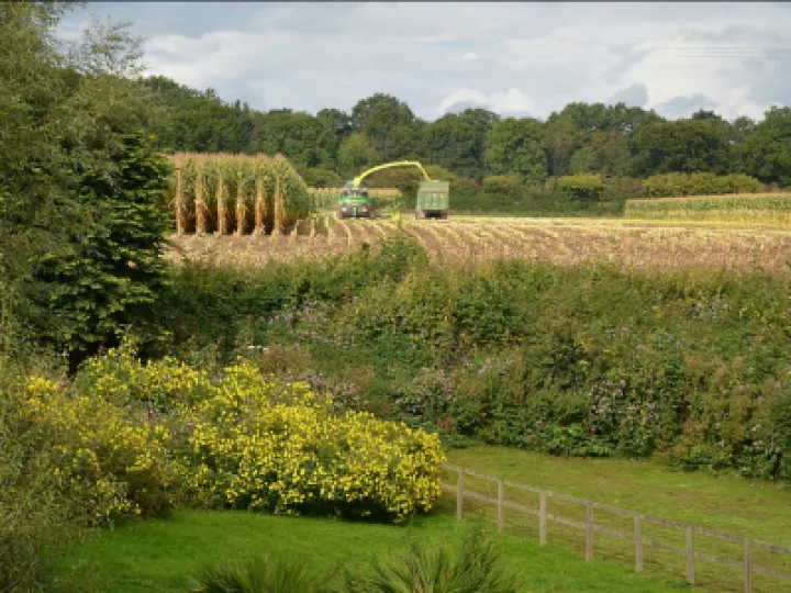 Harvest_DSC_1341cut2