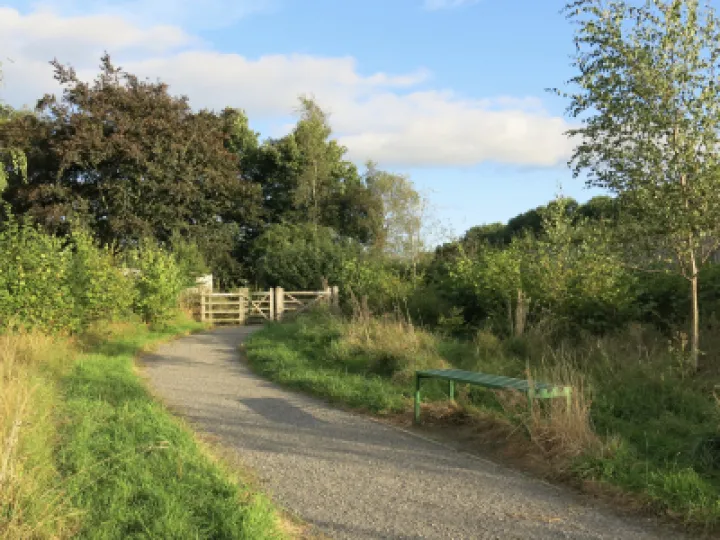 Woodland Walk Autumn 2021